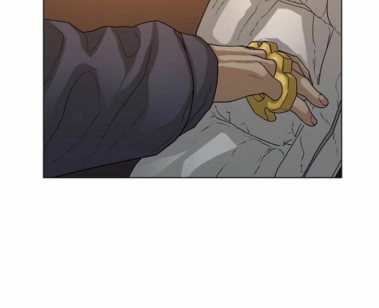 Chapter 19