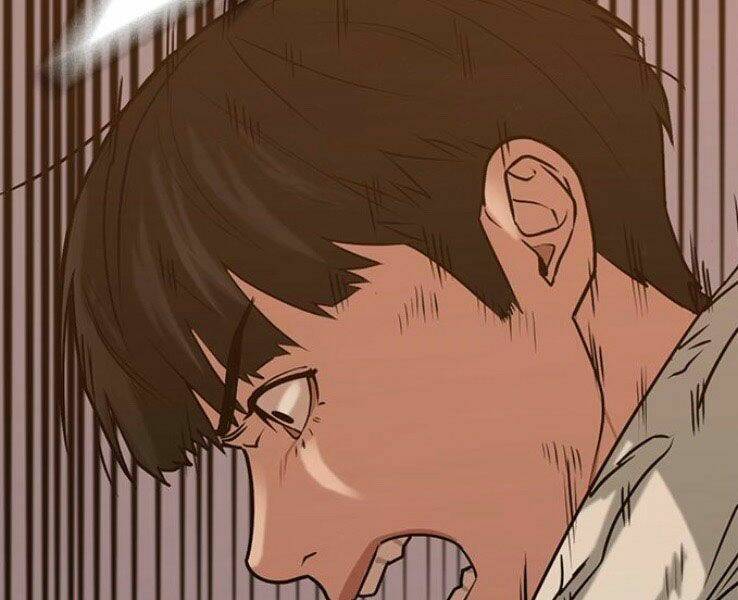 Chapter 19