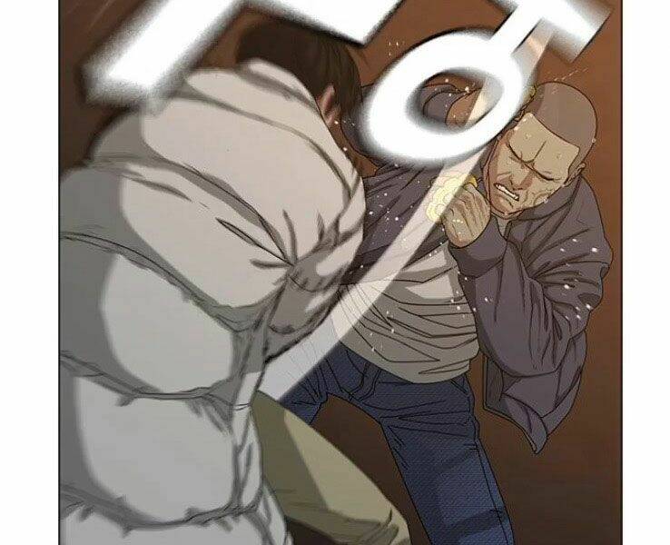 Chapter 19