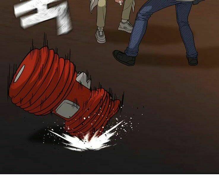 Chapter 19