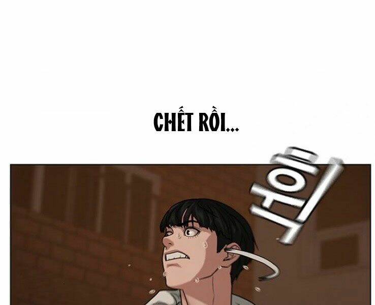 Chapter 19