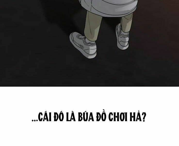 Chapter 19