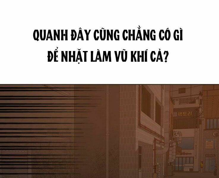 Chapter 19
