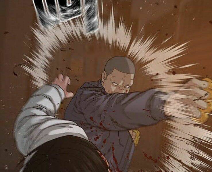 Chapter 19