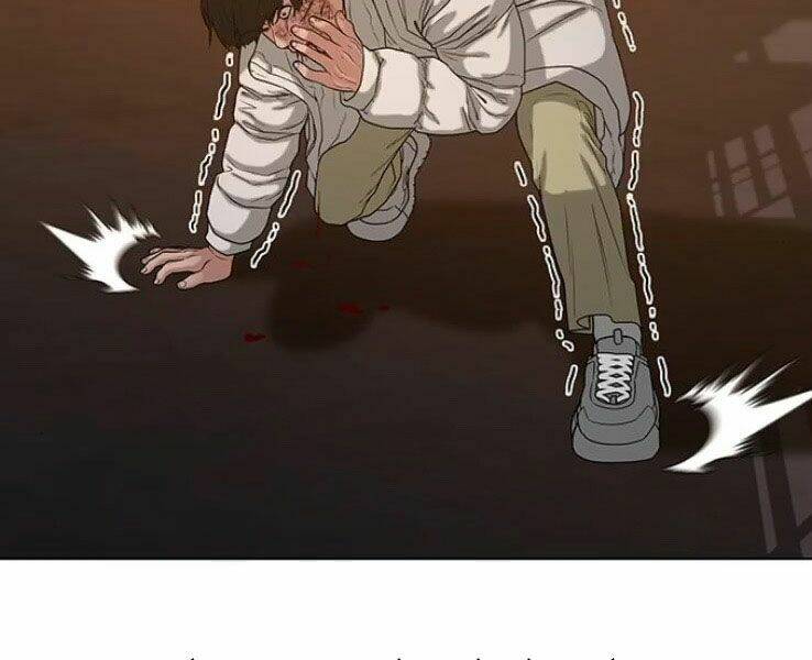 Chapter 19