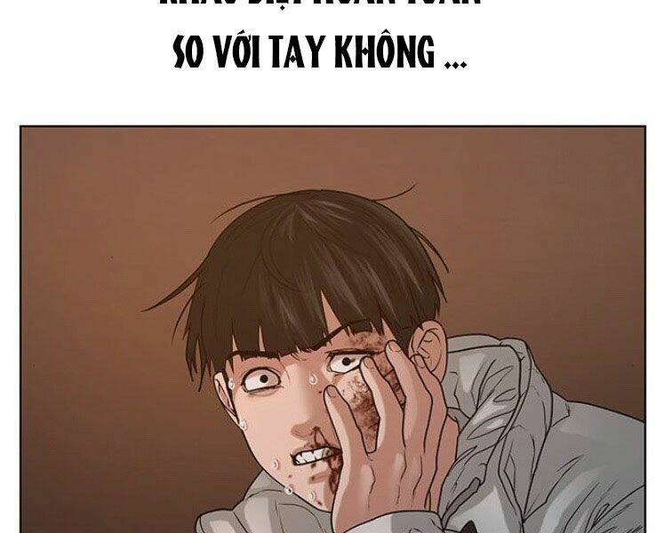 Chapter 19