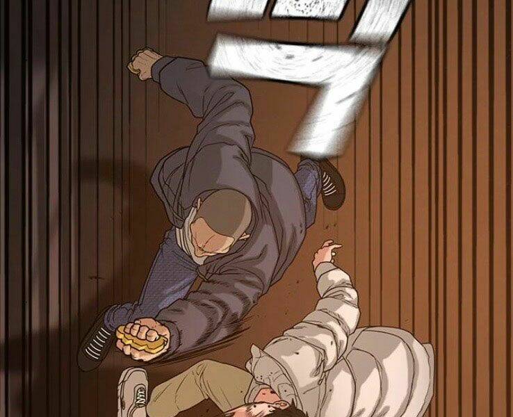 Chapter 19