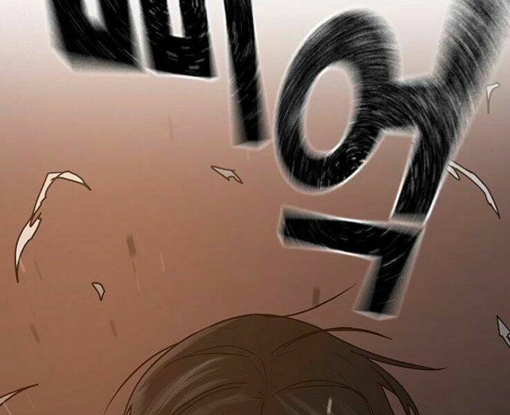 Chapter 19