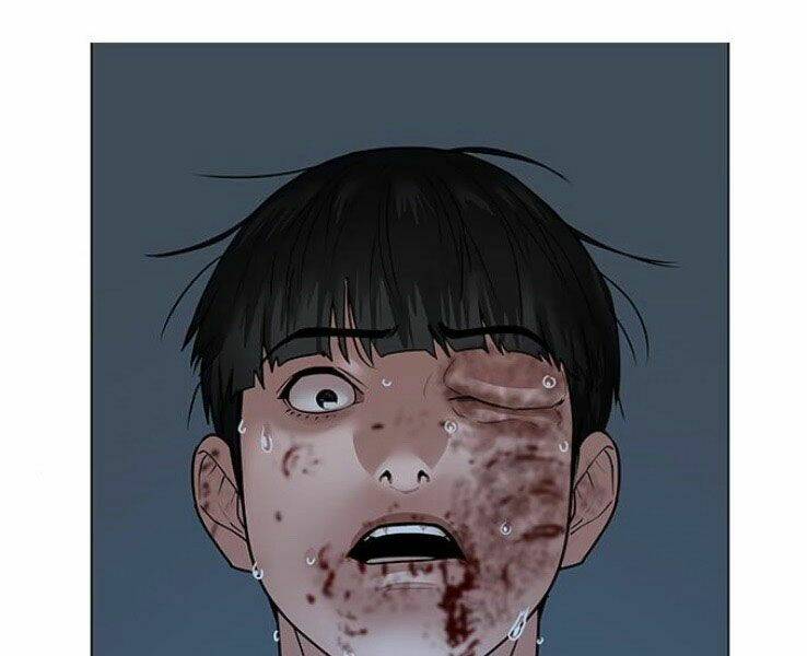 Chapter 20
