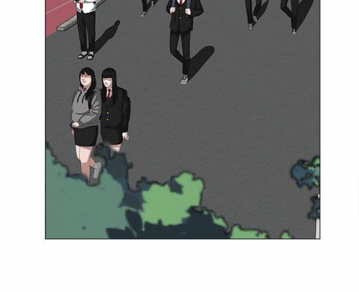 Chapter 20