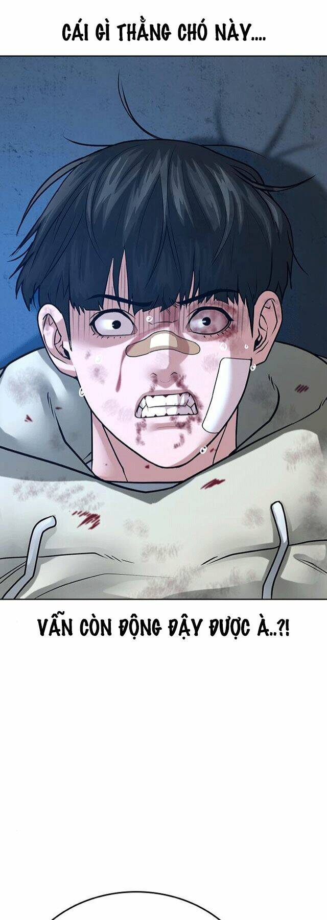 Chapter 23