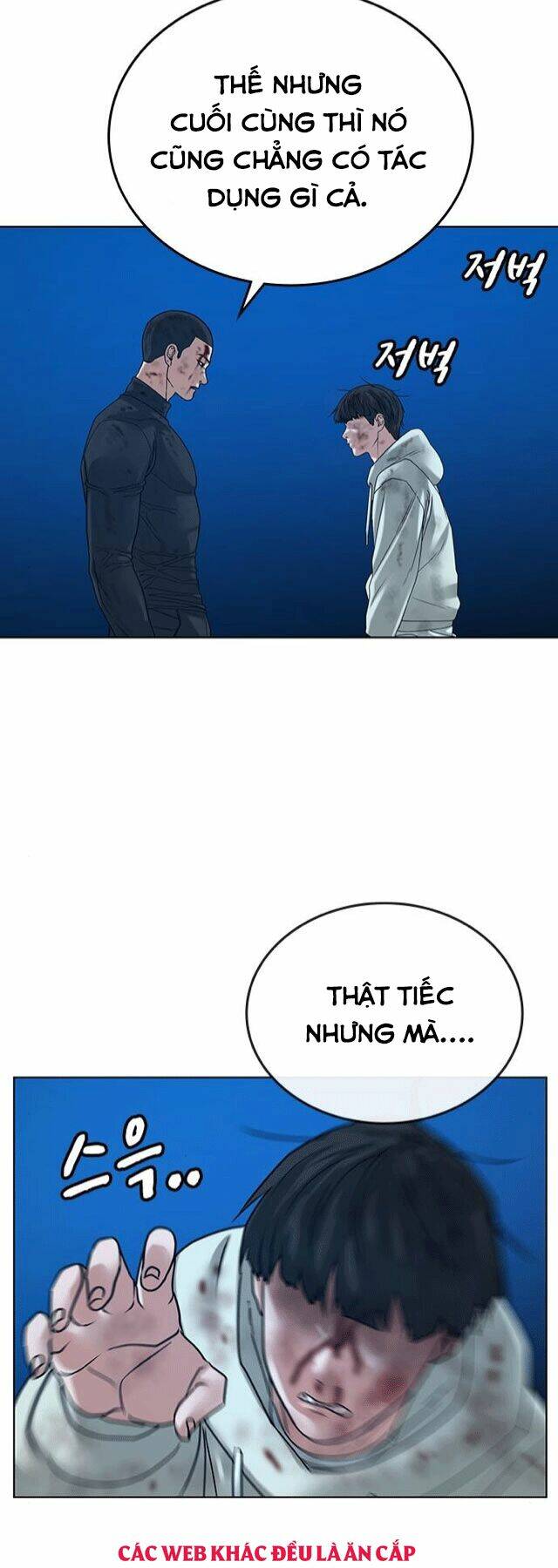 Chapter 23