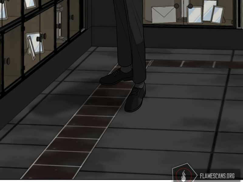 Chapter 24.5