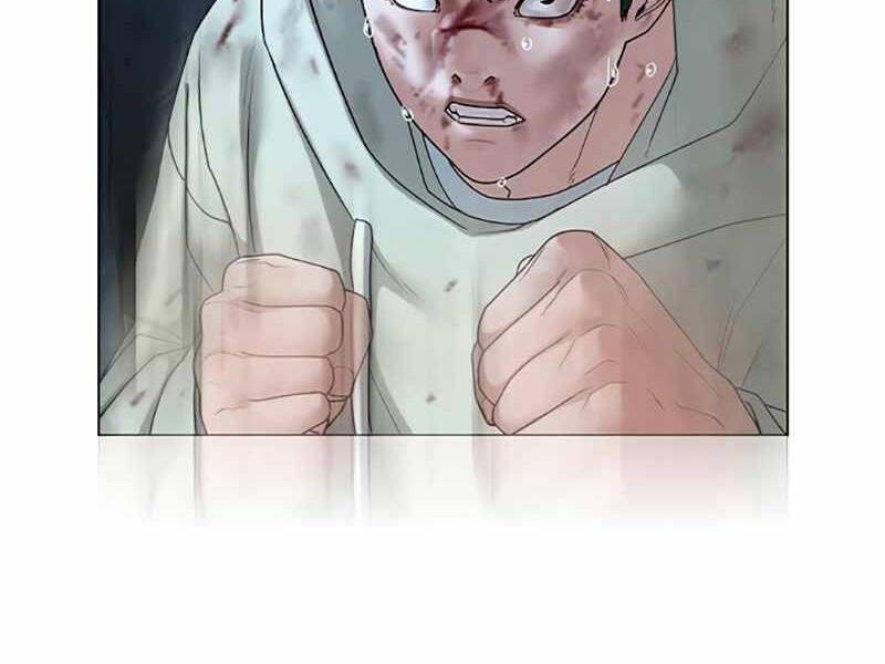 Chapter 24.5