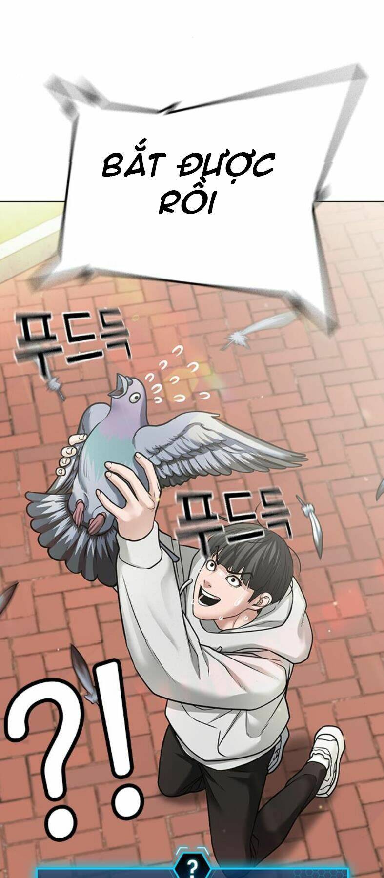 Chapter 28