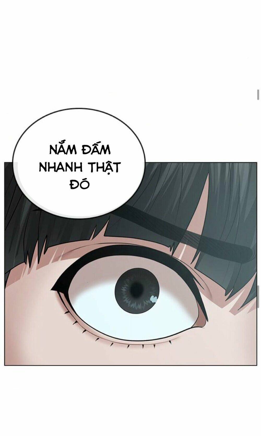 Chapter 33
