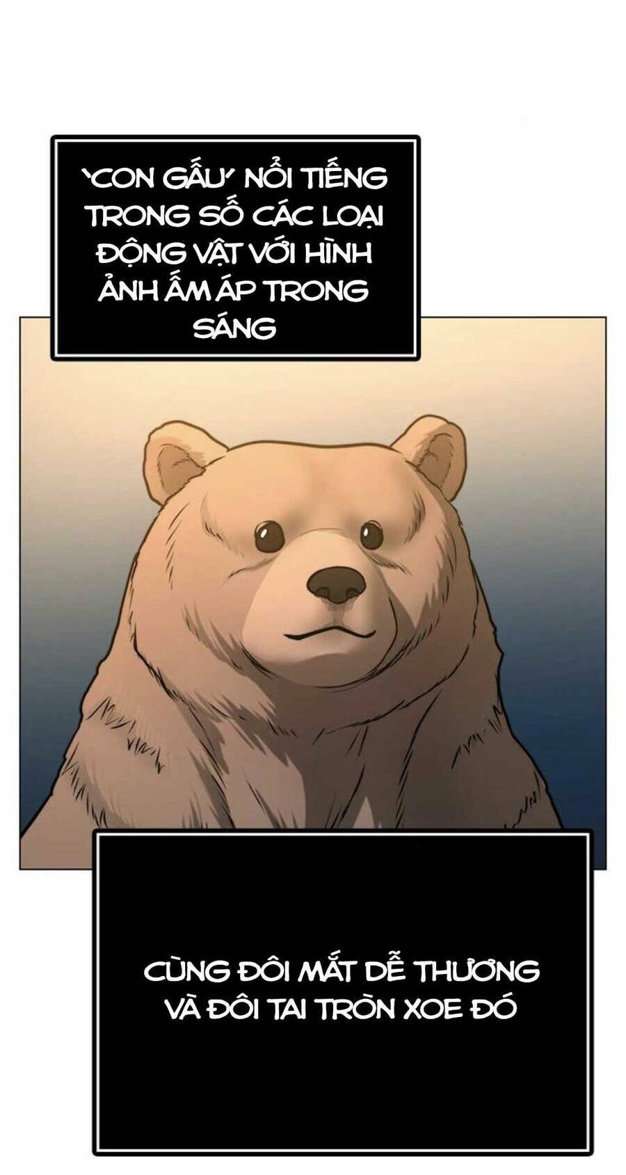 Chapter 47