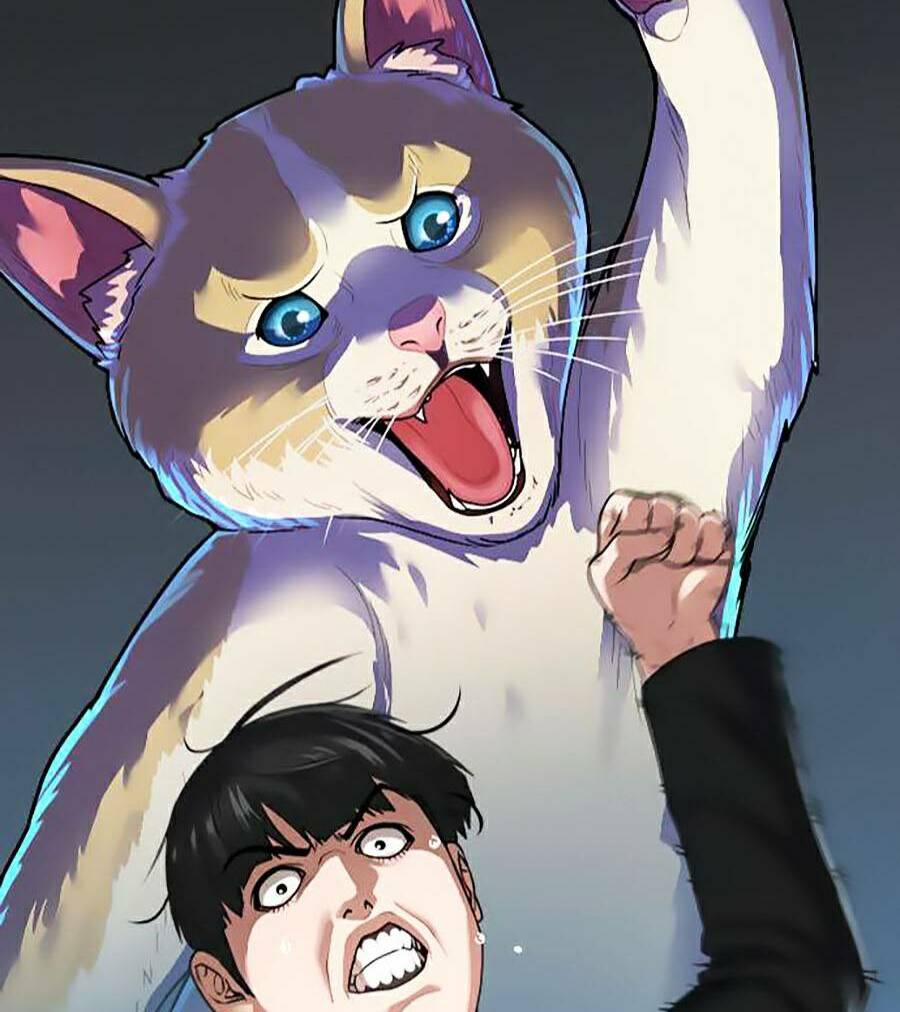 Chapter 8