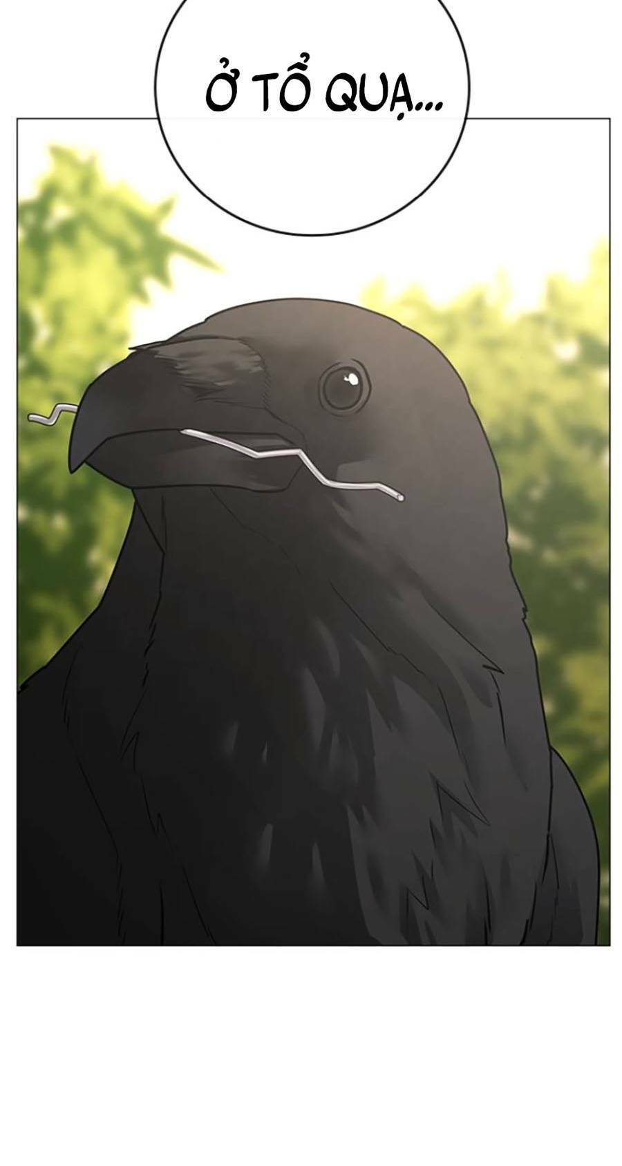 Chapter 70