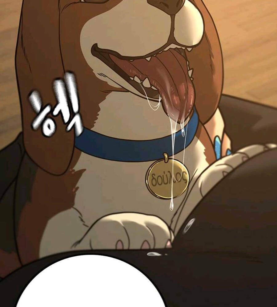Chapter 74