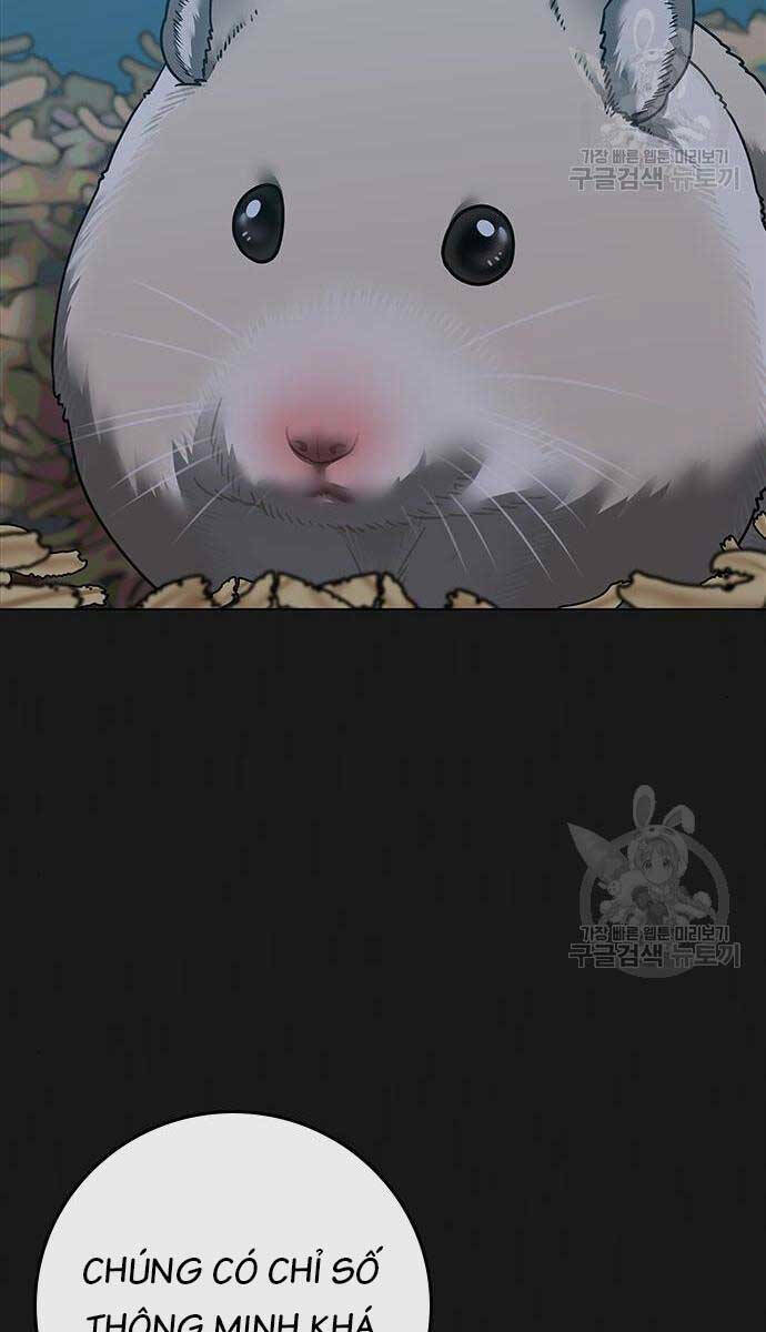 Chapter 84