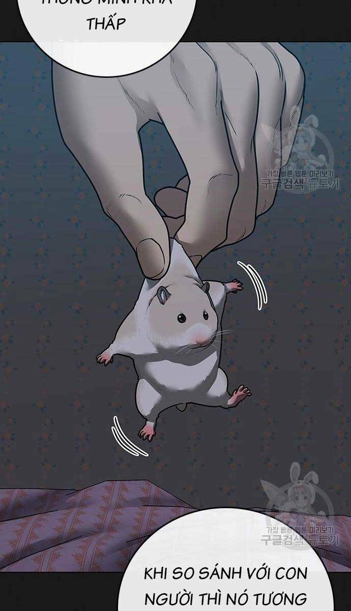 Chapter 84