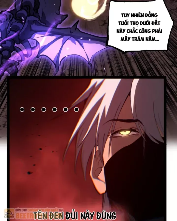 Chapter 102
