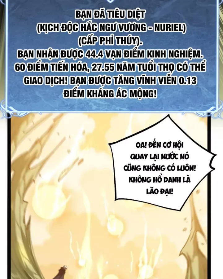 Chapter 104