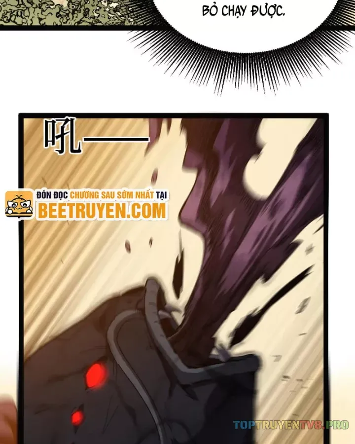 Chapter 104