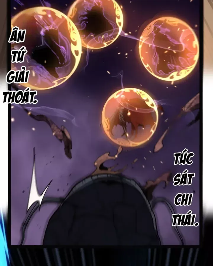 Chapter 104