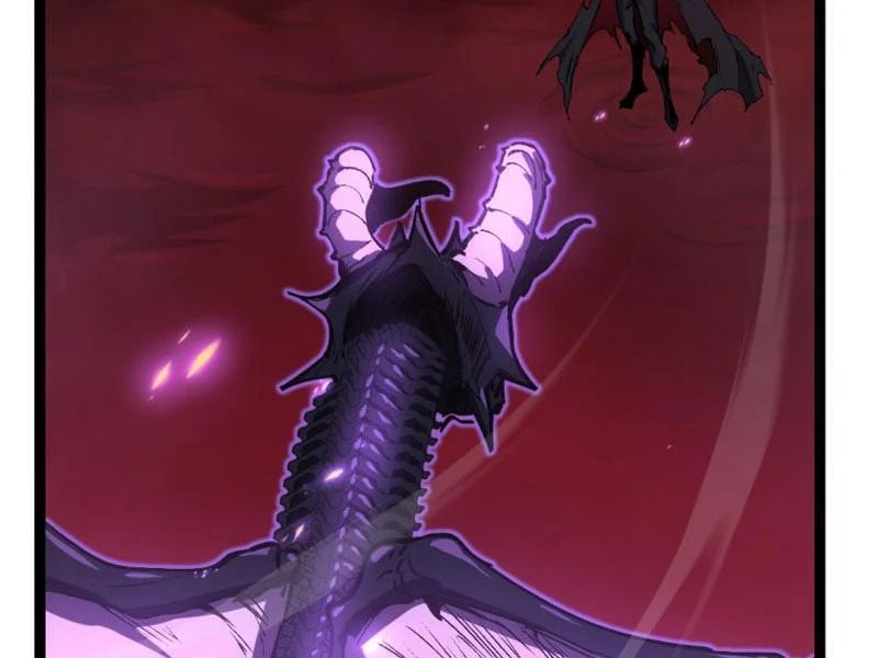 Chapter 81