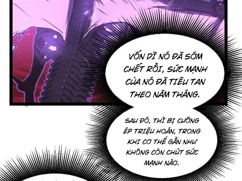 Chapter 81