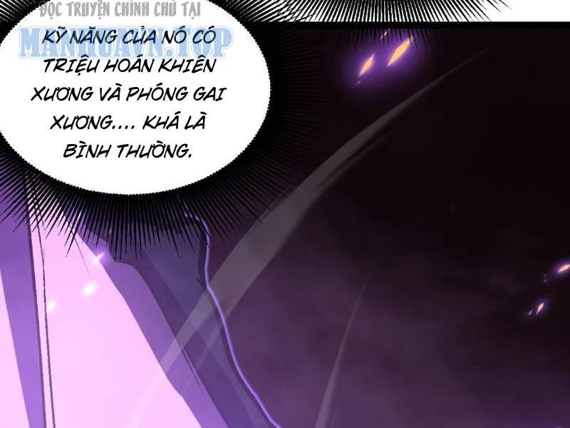 Chapter 81
