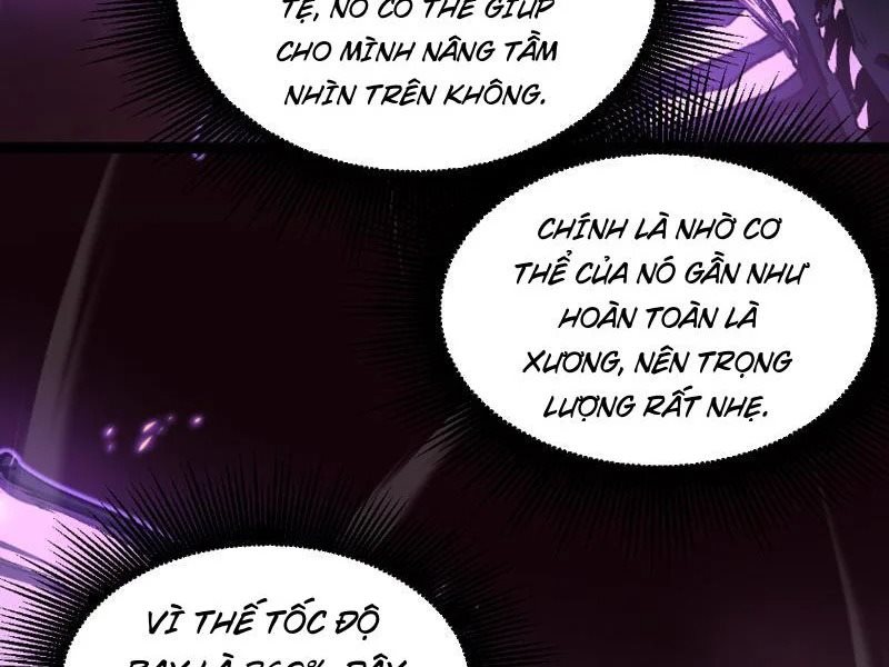 Chapter 81