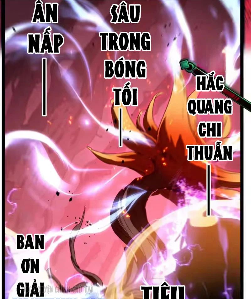 Chapter 94