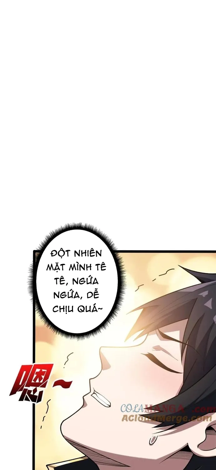 Chapter 217