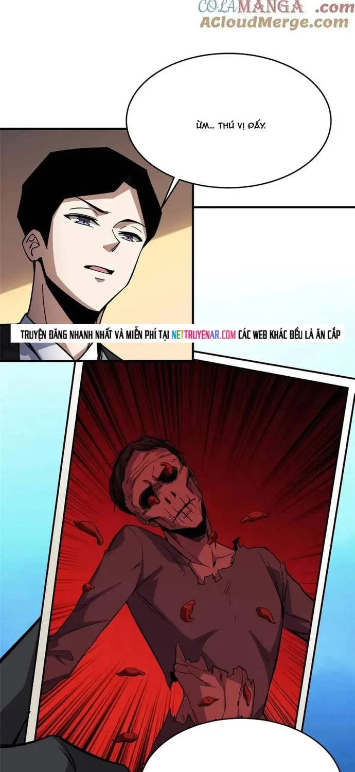Chapter 239