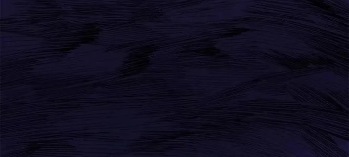Chapter 241