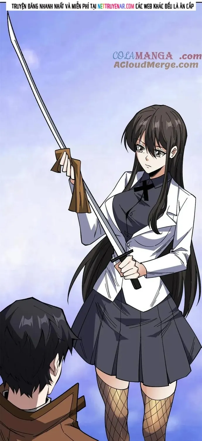 Chapter 241