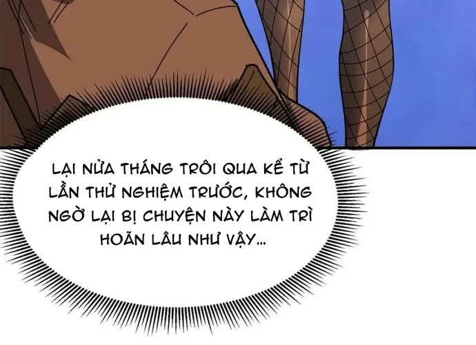 Chapter 241
