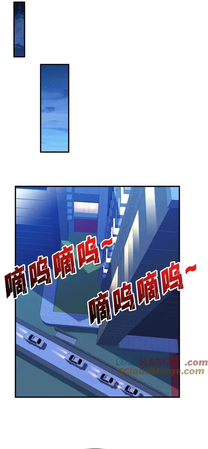 Chapter 243