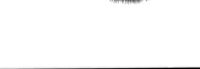 Chapter 244