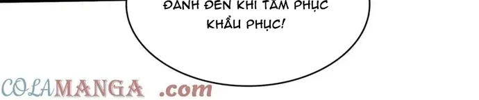 Chapter 244