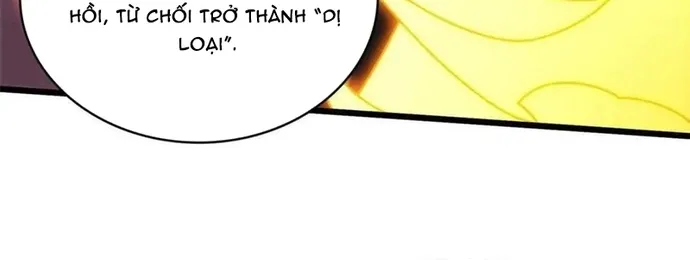 Chapter 244