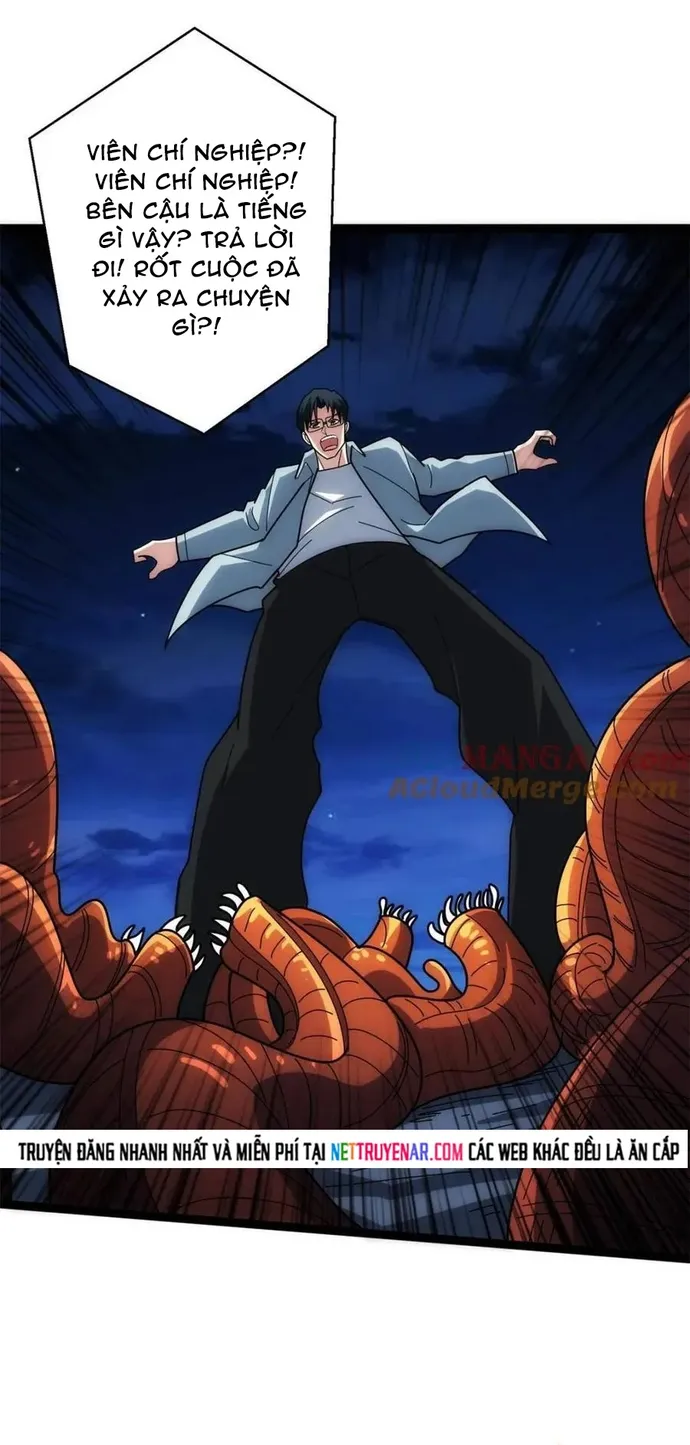 Chapter 246