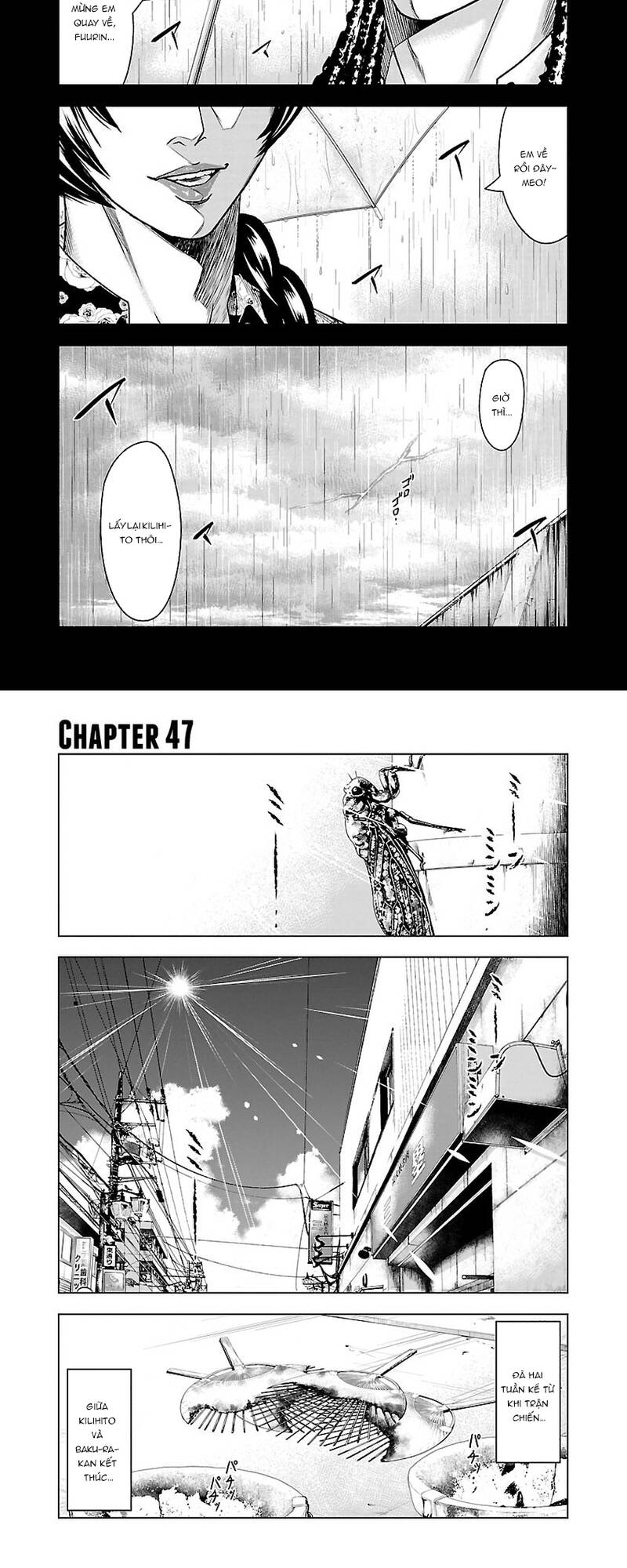 Chapter 47