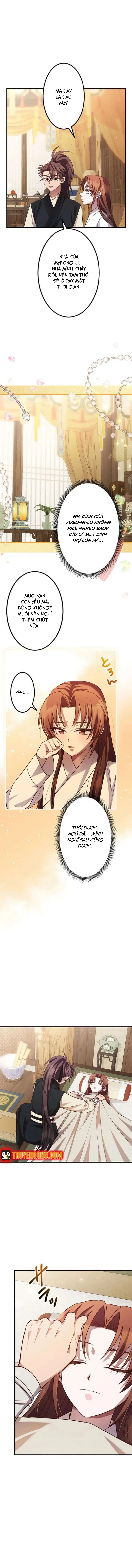 Chapter 11