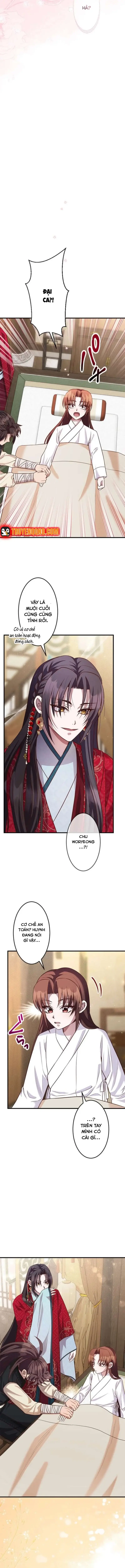 Chapter 11