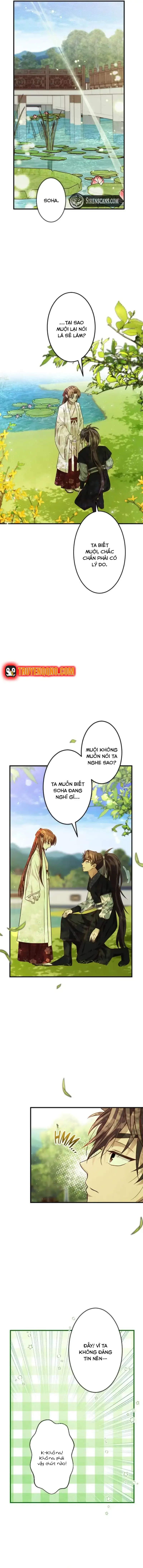 Chapter 12