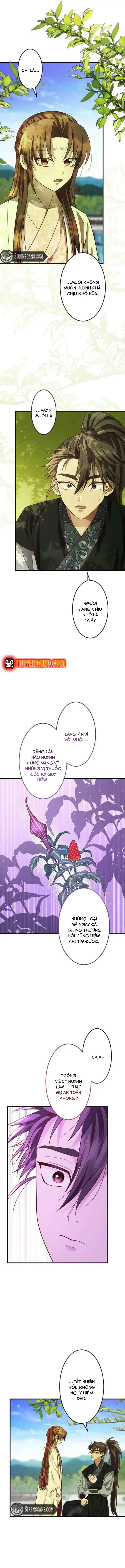 Chapter 12